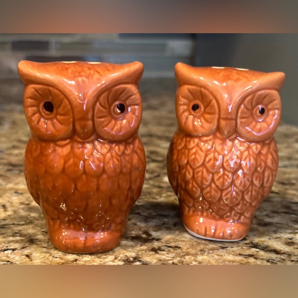 Brown Owls Salt and Pepper Shakers